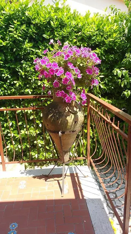 Apartment La Bouganville E Il Gelsomino Pietrasanta Italy