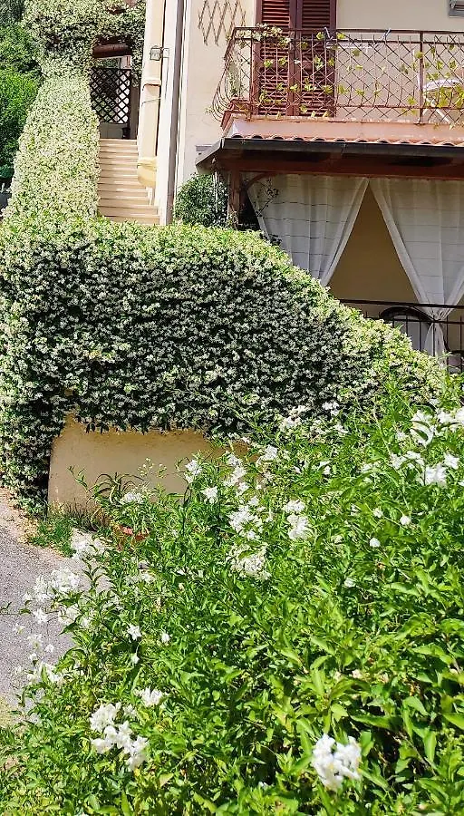 La Bouganville E Il Gelsomino Pietrasanta Włochy